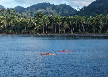 Misi Rahasia di Bawah Laut, Wanadri Tanam Terumbu Karang di Pulau Buru