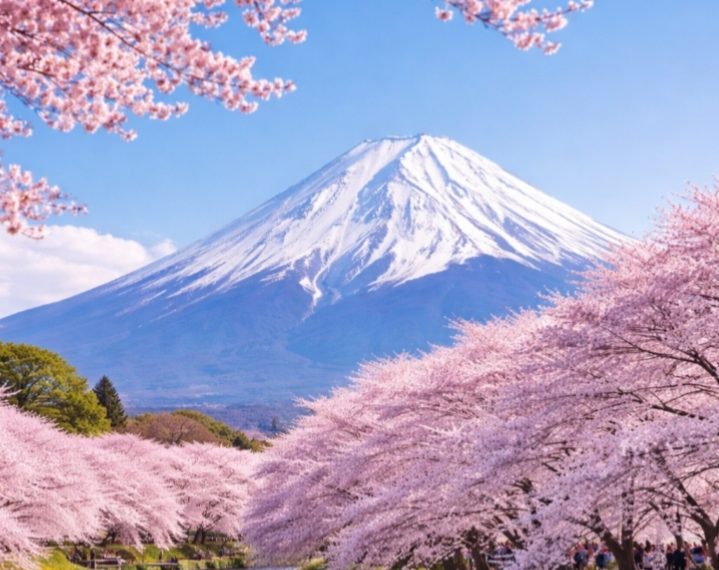 Festival Sakura Berlatar Gunung Fuji Dibatalkan, Overtourism Jadi Alasannya