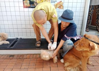 Vaksin Rabies Gratis! Warga Apresiasi Gerakan Bangsawan