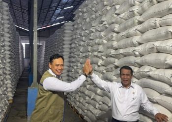 Rekor 5 Juta Ton! 5 Fakta Stok Beras Perum BULOG yang Bikin Pasar Tenang