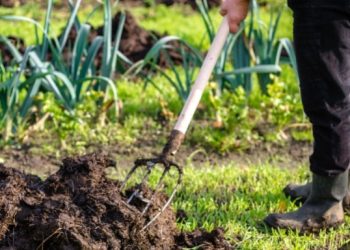 Harga Pupuk Turun 20 Persen, Jurus Prabowo Tekan Biaya Petani dan Amankan Produksi