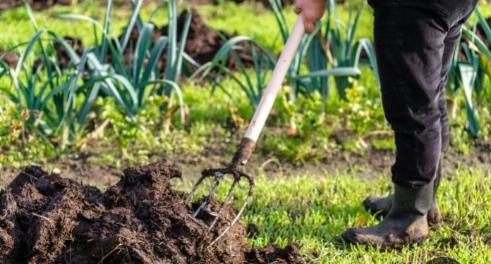 Harga Pupuk Turun 20 Persen, Jurus Prabowo Tekan Biaya Petani dan Amankan Produksi